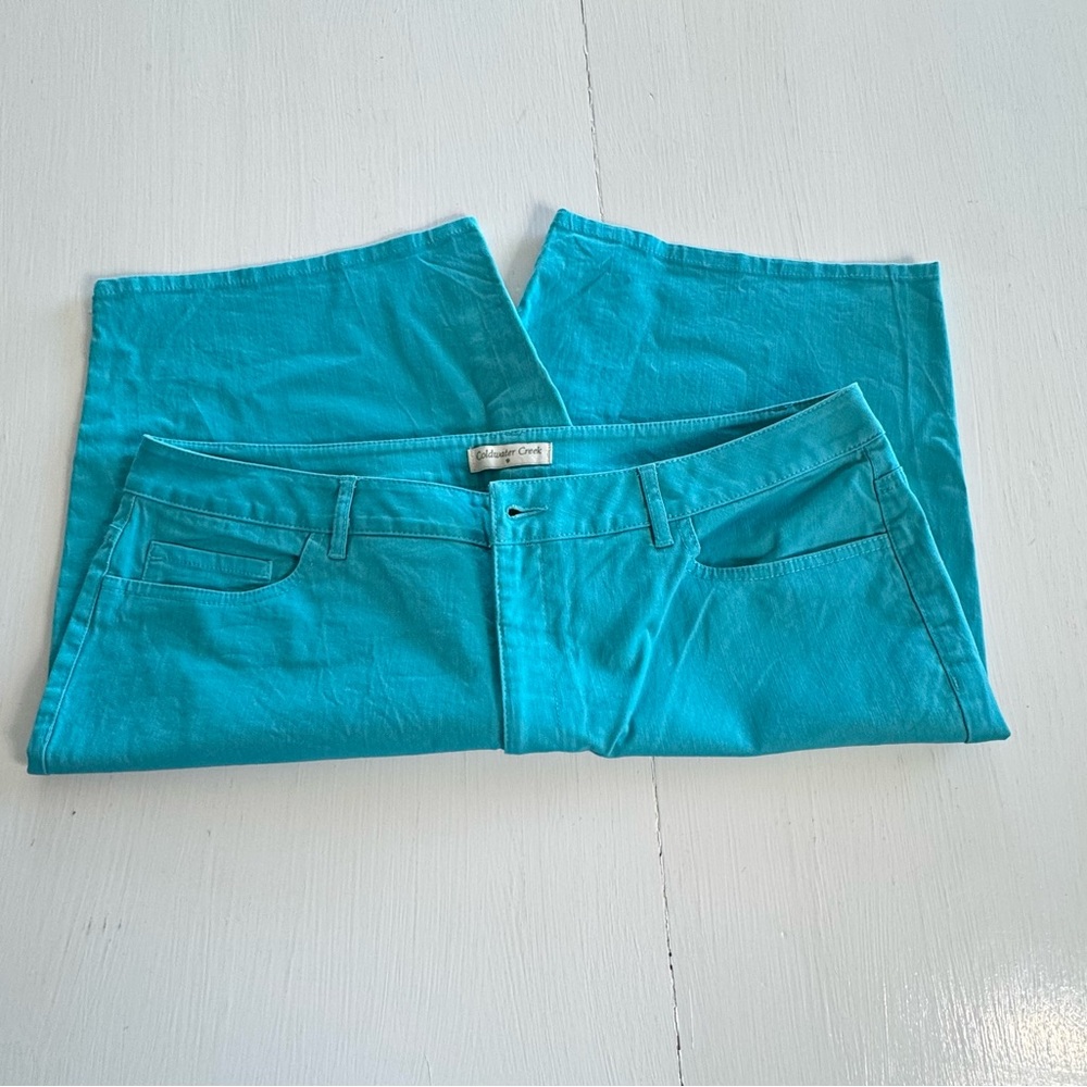 Coldwater Creek Teal Jean Shorts